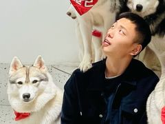 -Husky Go!哈士奇体验馆·宠物咖啡厅狗咖