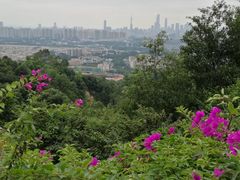 -火炉山森林公园