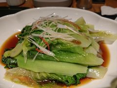 -老阿妈蒙古村·蒙古包·草原文化·歌舞表演(老君堂店)