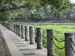 -南宁南湖公园