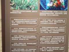 -岳阳市博物馆