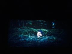 -大光明丽星VIP影城(昌里路杜比全景声店)