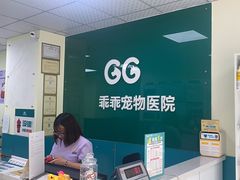 -乖乖宠物医院·猫科·急重症中心(车站北路分院)