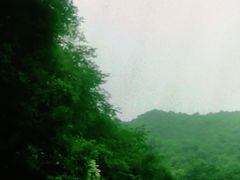 -午潮山国家森林公园