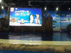 -华夏文旅海洋公园