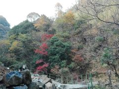 -太湖源风景区