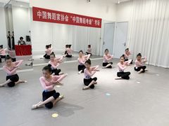-墨舞舞蹈·美术(共富新村店)