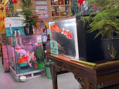 -老姐石板烧烤+铜炭火锅(总店)