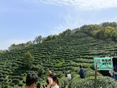 -西湖风景区十里琅珰-五云山