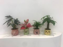 -艾薯夫妇Aysh(福田星河COCOPark店)