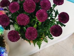 -三人行骨头王火锅(长寿店)