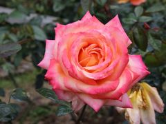 -人民公园(罗湖区)