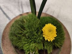 -南堂馆·新川菜(天府三街店)