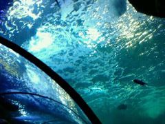 -多彩贵州城极地海洋世界