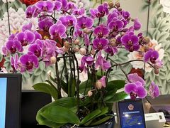 -北京广安门维景国际大酒店