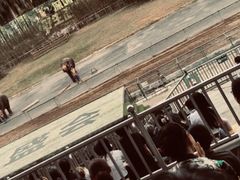 -深圳野生动物园