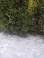 -SWEET SALON精品店