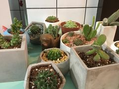 -蜜蜂小象·榴莲千层蛋糕(时代汇11栋店)