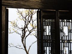 -绮园景区