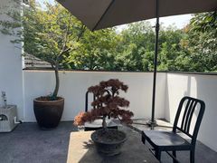 -青桃餐厅