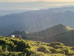 -灵山