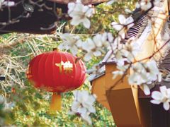 -龙华寺