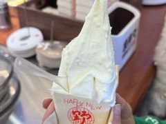 -野人先生Gelato(上海长宁龙之梦店)