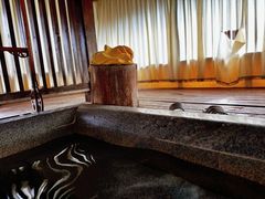 -咸宁万豪温泉谷度假区