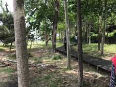 -北戴河圣蓝海洋公园