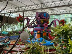 -南宫五洲植物乐园