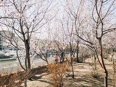 -青城公园