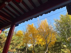 -中卫御苑福膳·养生局(圆明园店)