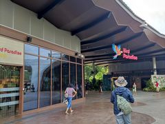 -新加坡飞禽公园