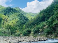 -全乐鱼馆·淳牌有机鱼直营店
