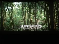 -CGV影城(新牌坊4DX店)