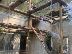 -合肥野生动物园