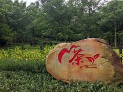 -广州市白云山风景名胜区