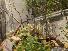 -森SPA·泰式按摩·精油Massage(宝安中心店)