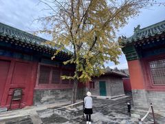 -历代帝王庙博物馆