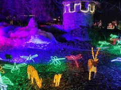 -沕沕水生态风景区