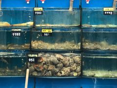 水产区-渔中舟海鲜大排档(普陀沈家门店)