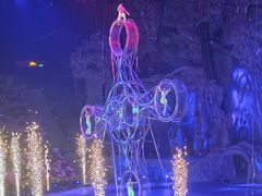 -广州长隆国际大马戏