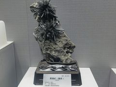 -湖南省地质博物馆