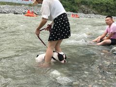 -虹口漂流