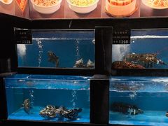 -百富源·海鲜辽菜(和平北大街店)