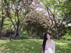 -堤角公园