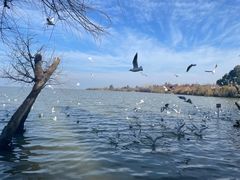 -捞渔河湿地公园