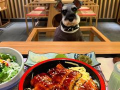 -鳗鳗的爱(远洋未来广场店)