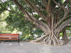 -人民公园(罗湖区)