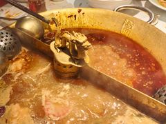 -小龙翻大江文化火锅(宽窄店)